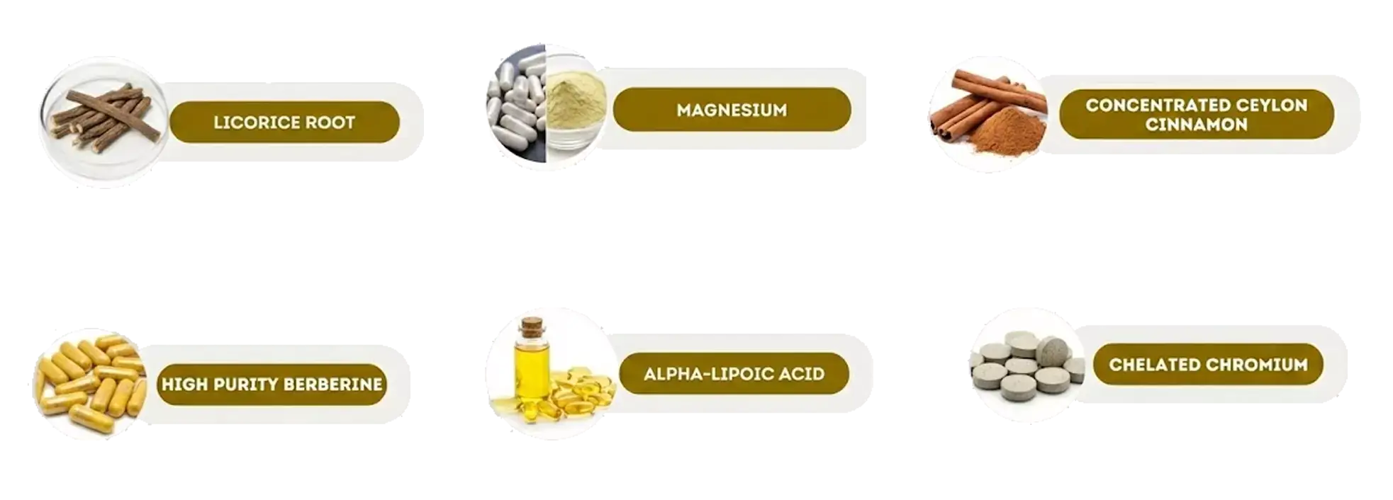 The six Black Sugar Protect ingredients: licorice root, magnesium, Ceylon cinnamon, berberine, alpha-lipoic acid and chelated chromium