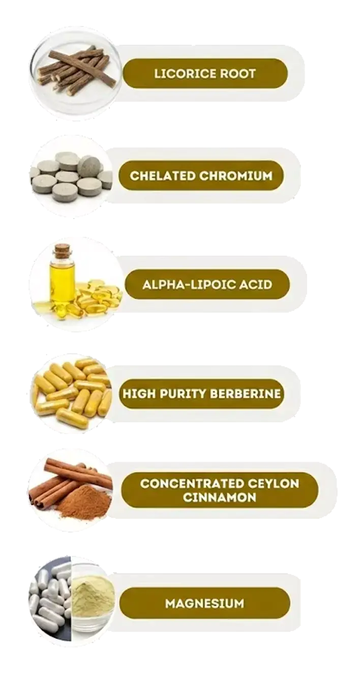 Berberine, Ceylon cinnamon, alpha-lipoic acid, magnesium, chromium and licorice root shown as the six ingredients in Black Sugar Protect